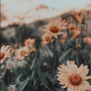 Meet your Posher, Maria clara